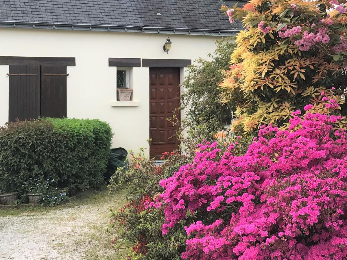 Ti Cairn Villa Moëlan-sur-Mer Екстериор снимка